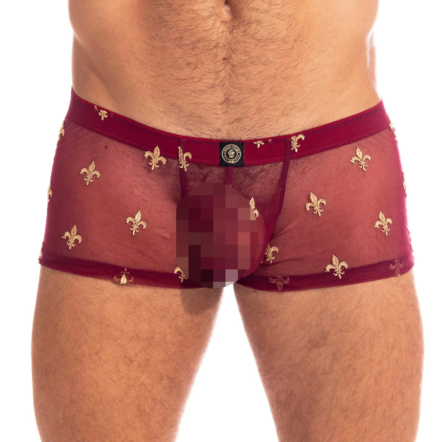 Boxer L Homme Invisible Charlemagne MY14CLM 3 Boxer L Homme Invisible Charlemagne MY14CLM