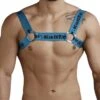 Harnais Pikante PIK7008 1 Harnais Pikante PIK7008 -Men Attitude Boutique Harnais pikante pik7008 bleu m