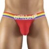 Bikini ErgoWear MAX XV PRIDE EW1120 1 Bikini ErgoWear MAX XV PRIDE EW1120 -Men Attitude Boutique bikini ergo EW1120 rouge m