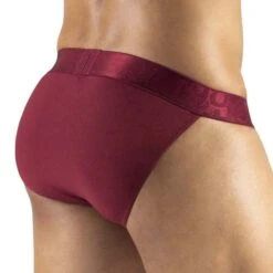Bikini ErgoWear MAX XV EW1170 8 Bikini ErgoWear MAX XV EW1170 -Men Attitude Boutique bikini ergo ew1170 bordeau 3