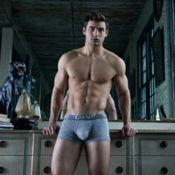 Boxer CIN2 4023 -Men Attitude Boutique boxer cin2 4023 gris a