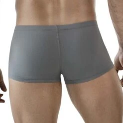 Boxer Clever Buenavista 1842 Gris -Men Attitude Boutique boxer clever 1842 gris 3