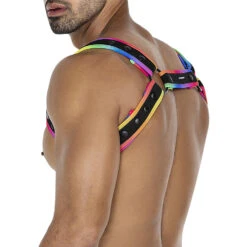 Harnais Cut4Men H4RNESS05 Multicolore -Men Attitude Boutique harnais ar0012a multico 2