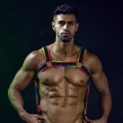 Harnais Cut4Men H4RNESS05 Multicolore -Men Attitude Boutique harnais ar0012a multico a