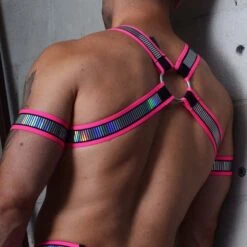 Harnais Reflector Bulldog BREEDWELL 7 Harnais Reflector Bulldog BREEDWELL -Men Attitude Boutique harnais breedwell 220605 rose 3