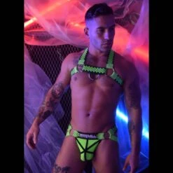 Harnais HEX BREEDWELL Vert -Men Attitude Boutique harnais breedwell 221105 vert a 1