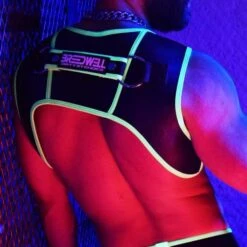 Harnais Neogear BREEDWELL -Men Attitude Boutique harnais breedwell BW0200 noir 3