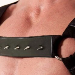 Harnais DESTRUCTIVE 1DHS03 -Men Attitude Boutique harnais destructive 1DHS03 noir 5