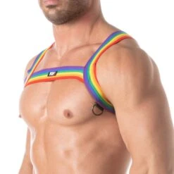 Harnais Rainbow TOF PARIS TOF385RW Multicolore -Men Attitude Boutique harnais tof385rw cmod 4
