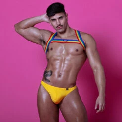 Harnais Rainbow TOF PARIS TOF385RW Multicolore -Men Attitude Boutique harnais tof385rw cmod a