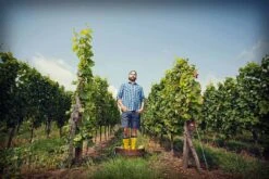 Mi-Bas Von Jungfeld Spiekeroog 5 Mi-Bas Von Jungfeld Spiekeroog -Men Attitude Boutique mi bas vonjungfled spiek2 jaune a