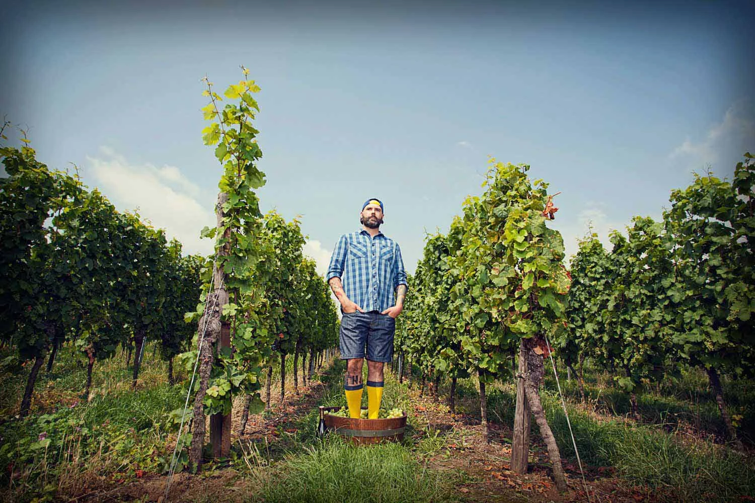 Mi-Bas Von Jungfeld Spiekeroog 4 Mi-Bas Von Jungfeld Spiekeroog – Image 2