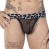 String Eros Veneziani 7422 -Men Attitude Boutique string eros 7422 noir m