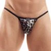 String Wojoer Brauner Leo SP9B6 -Men Attitude Boutique string wojoer SP9B6 noir m