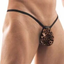 String Wojoer Brauner Leo SP3W3B